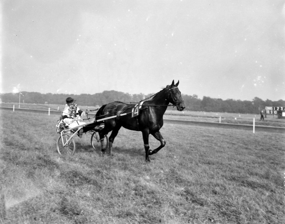 Draverijen op Duindigt. Franse hengst Icare IV met pikeur Henri Levesque, winnaa, Bestanddeelnr 909-6744