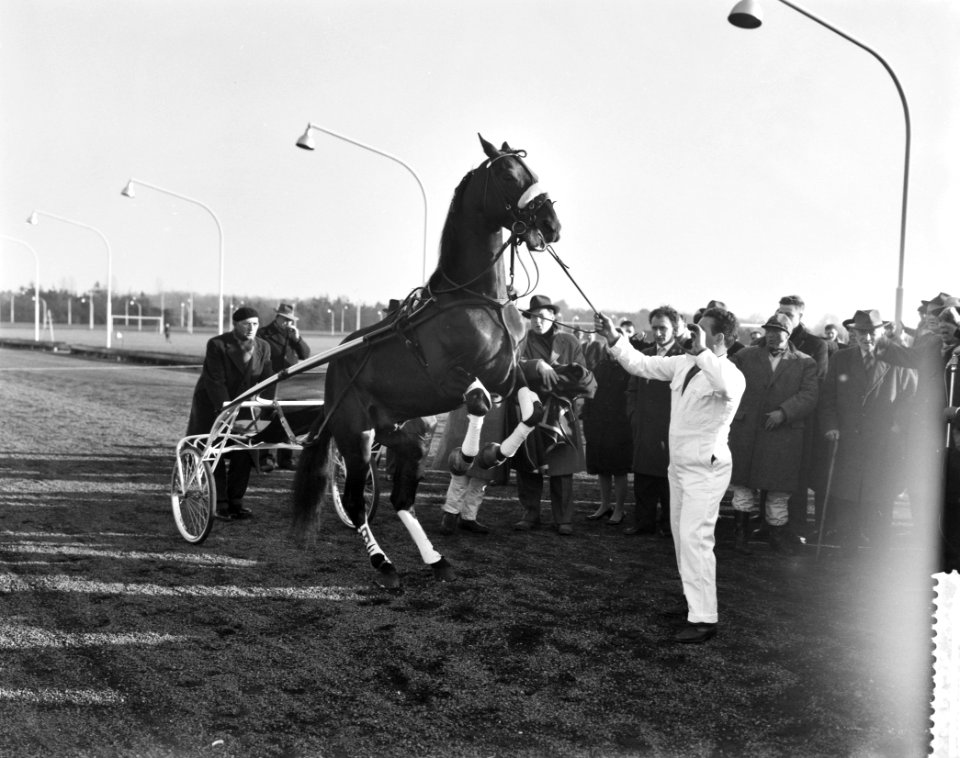 Draverijen te Hilversum, Hairos II met W H Geersen, Bestanddeelnr 911-0077