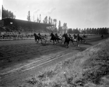 Draverijen op Mereveld, om amateurkampioenschap, moment uit de strijd, Bestanddeelnr 918-0502