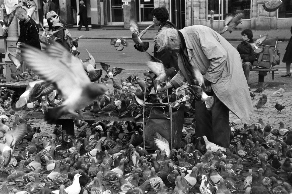 Duiven worden op de Dam in Amsterdam gevoerd, Bestanddeelnr 931-9608