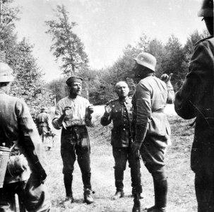 Duitse inval in Polen 1939, Bestanddeelnr 916-8431
