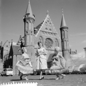 Duivenprinses op het Binnenhof in Den Haag, Bestanddeelnr 912-8241