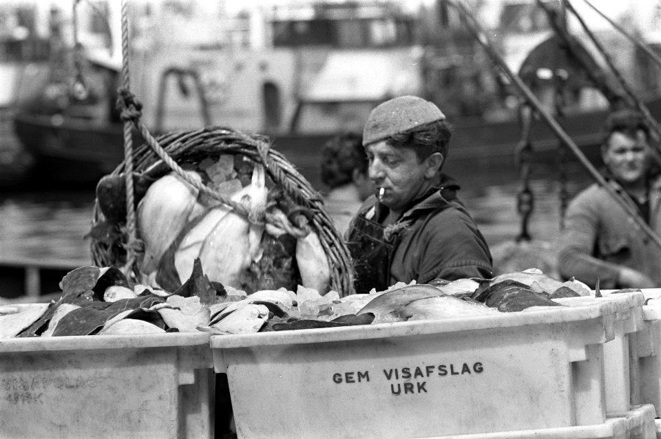 Duizend jaar Urk, Bestanddeelnr 921-3662
