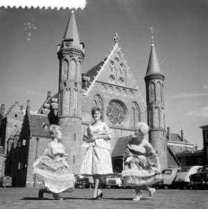 Duivenprinses op het Binnenhof in Den Haag, Bestanddeelnr 912-8243