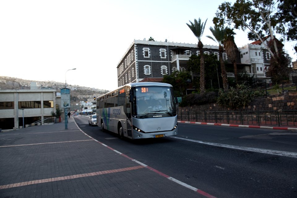 DSC 1498 tiberias superbus