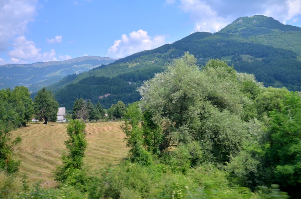 DSC-0197-montenegro-july-2017-002