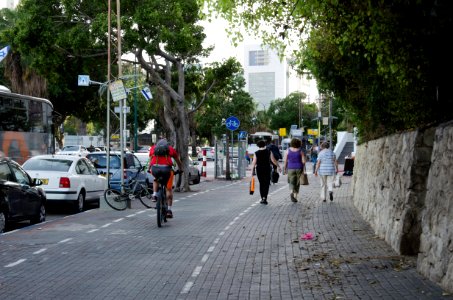 DSC-0033-Shaul-Hamelec-Boulevard-tel-aviv-may-2016