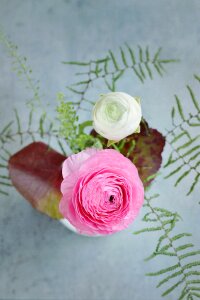 Pink leaves bouquet photo