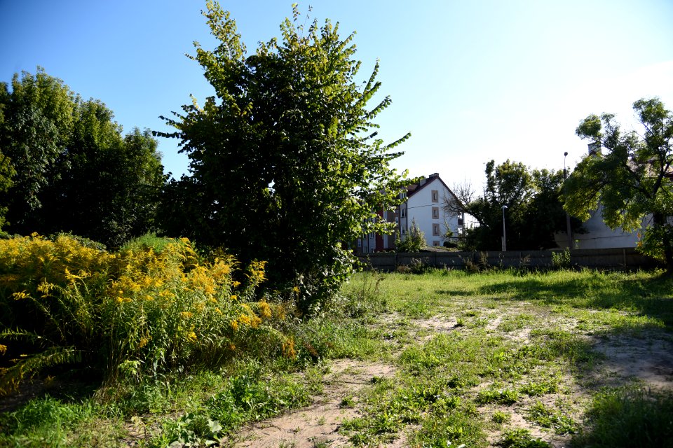DSC 6401 August 2019 Ulica Slonimska Bialystok