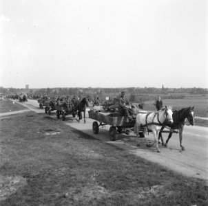 Duitser trekken na de capitulatie uit het Gooi weg Hier een kolonne paard-en-wa, Bestanddeelnr 900-2891