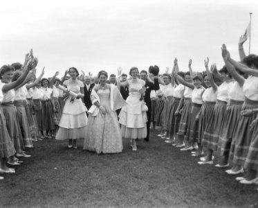 Duivenprinses uit Westland in Den Haag, Bestanddeelnr 908-9161