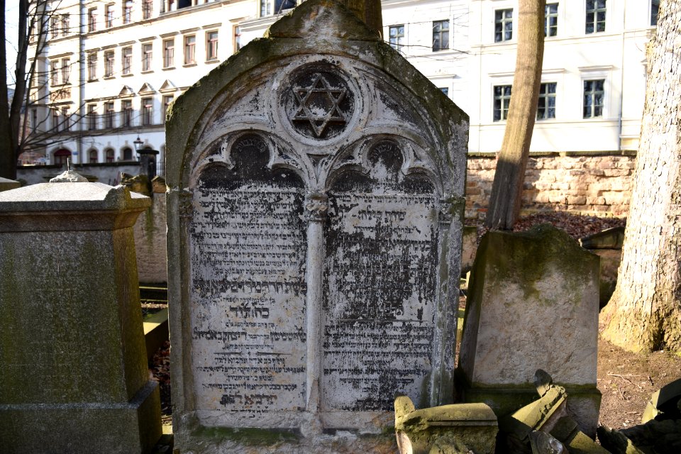 DSC 2388-Alter Jüdischer Friedhof (Dresden)-2018