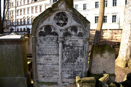 DSC 2388-Alter Jüdischer Friedhof (Dresden)-2018