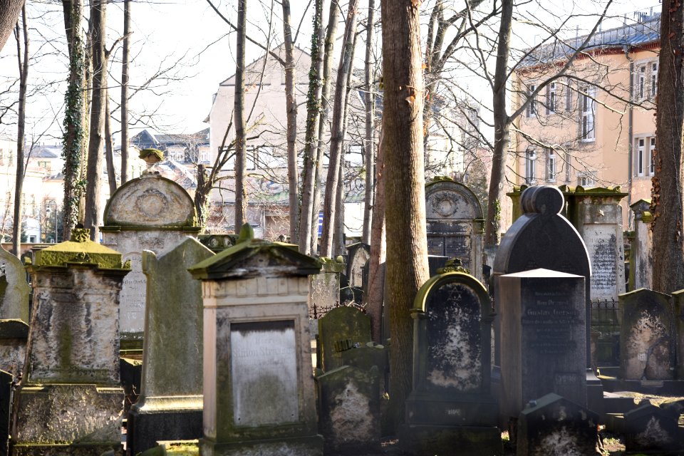 DSC 2384-dresden-february-2018-old-jewish-cemetery