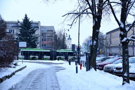 DSC 1985 bialystok poland 20-01-2018