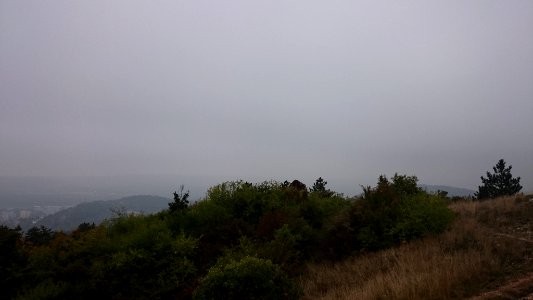 Dsc 0440 Jpg (167919573)