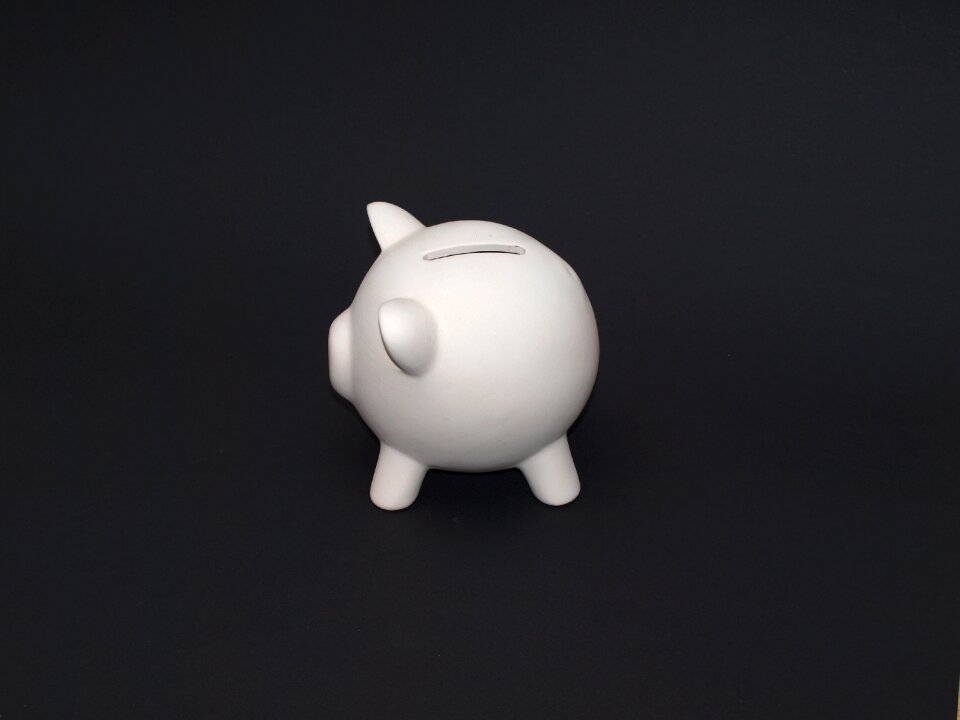 Save money lucky pig