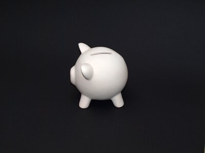 Save money lucky pig