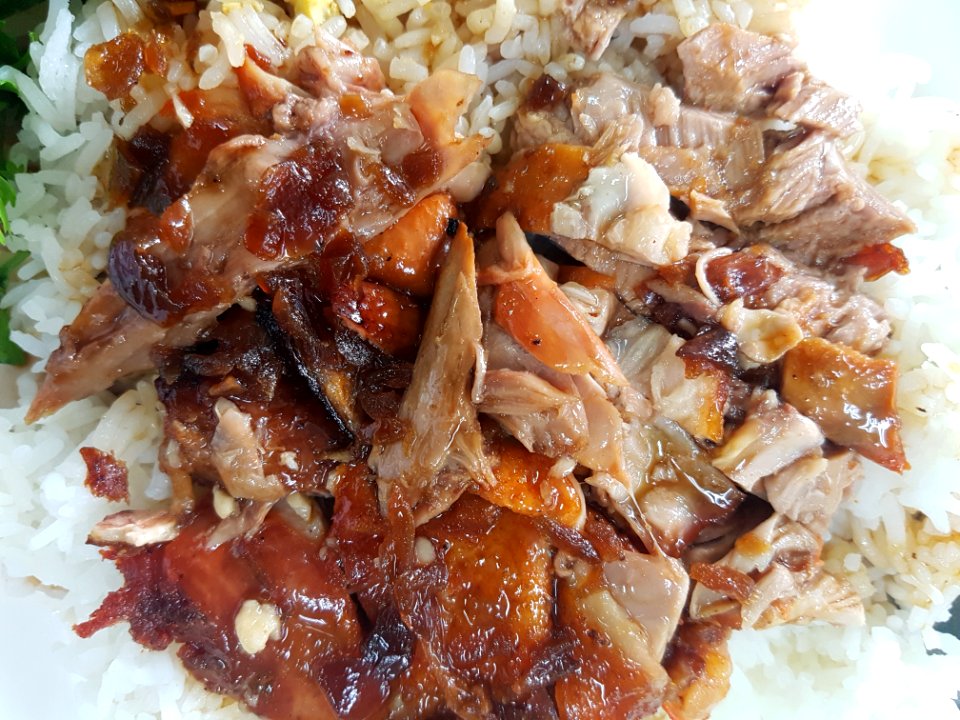 Duck rice - Chiang Rai - 2017-07-07 (002)