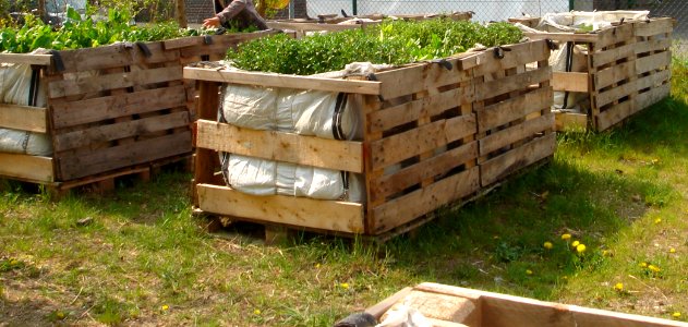 DSC02001 Ausschnitt Mobiler Gemeinschaftsgarten Palette-Bigbag
