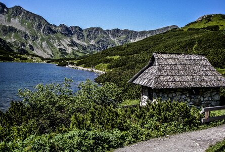 Wooden wood scenery photo