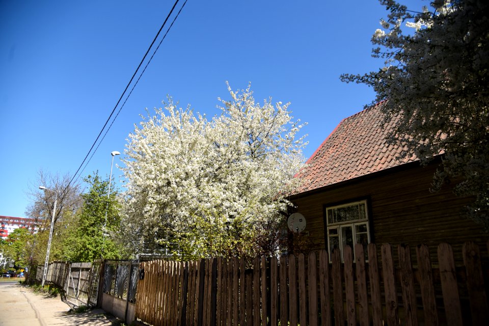 DSC 7079 Czarna Street in Białystok May 2020