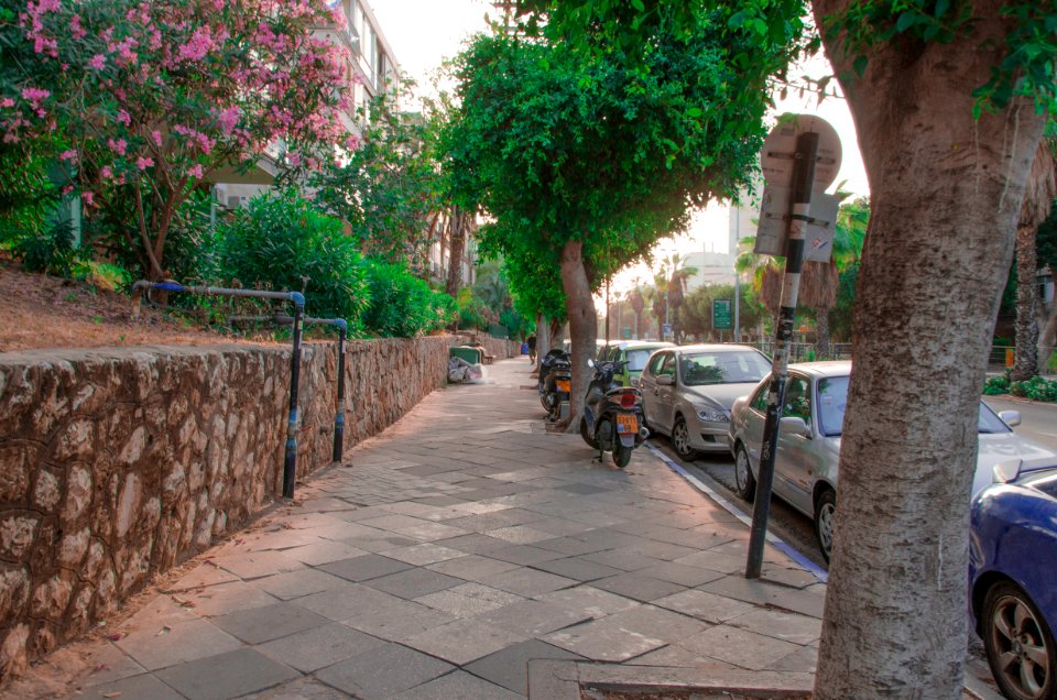 DSC-0051-arlozorov-st-tel-aviv-may-2016