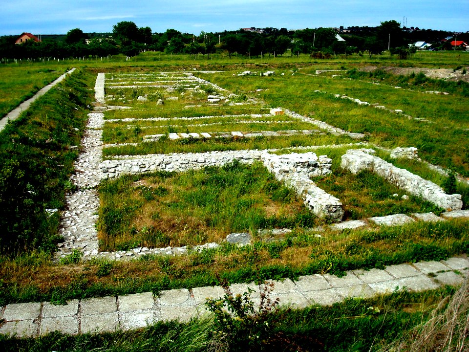 DSC08004 24.05.2010