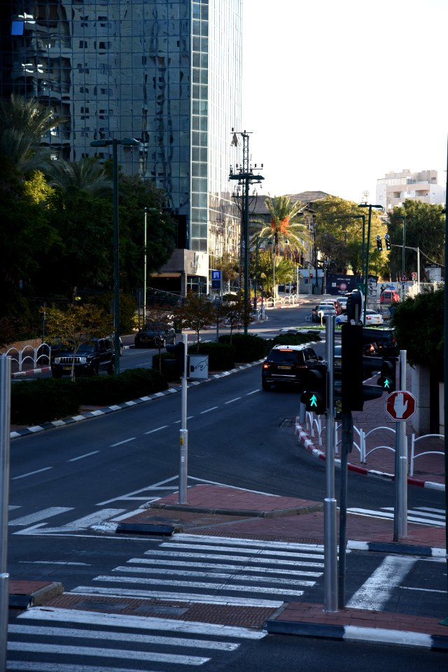 DSC-0749-harey-hagil'ad-ramat-gan-december-2017