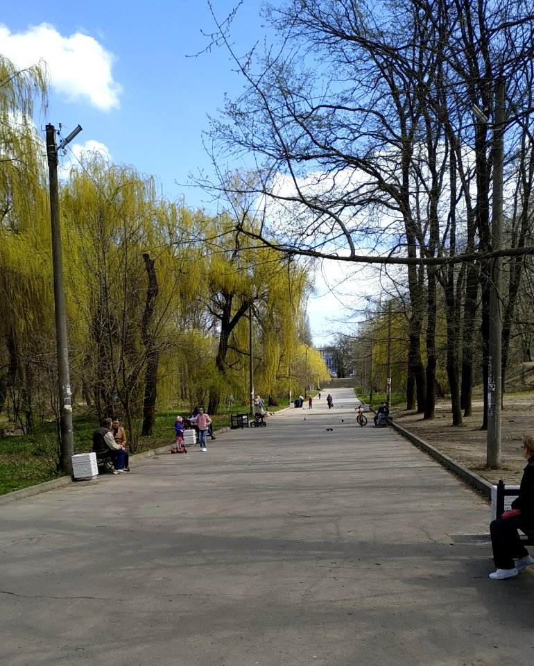 Dubki park Parsin alley