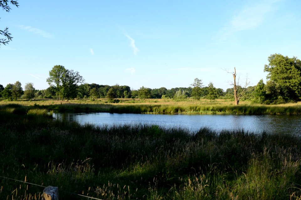 Dsc 3660 Jpg (165452747)