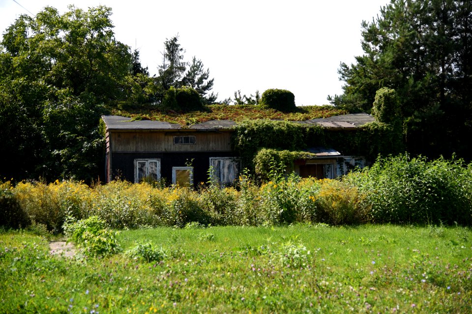 DSC 6298 August 2019 in Bialystok wooden house in Kaczorowskiego - Wyszynskiego intersection