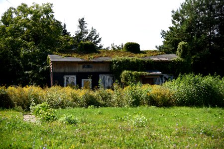 DSC 6298 August 2019 in Bialystok wooden house in Kaczorowskiego - Wyszynskiego intersection