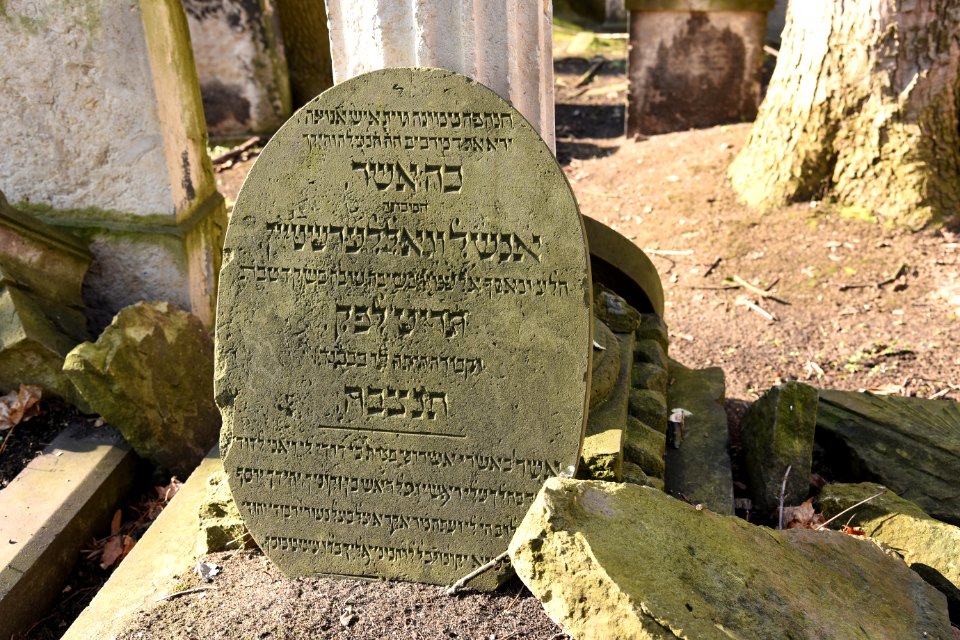 DSC 2387Alter Jüdischer Friedhof (Dresden)-2018