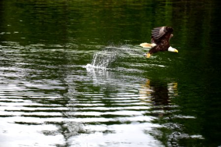 Dsc 0825 Jpg (157966957)
