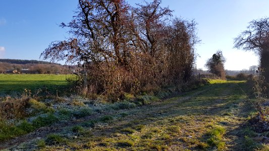 Durbuy-Menhir de Morville (2)