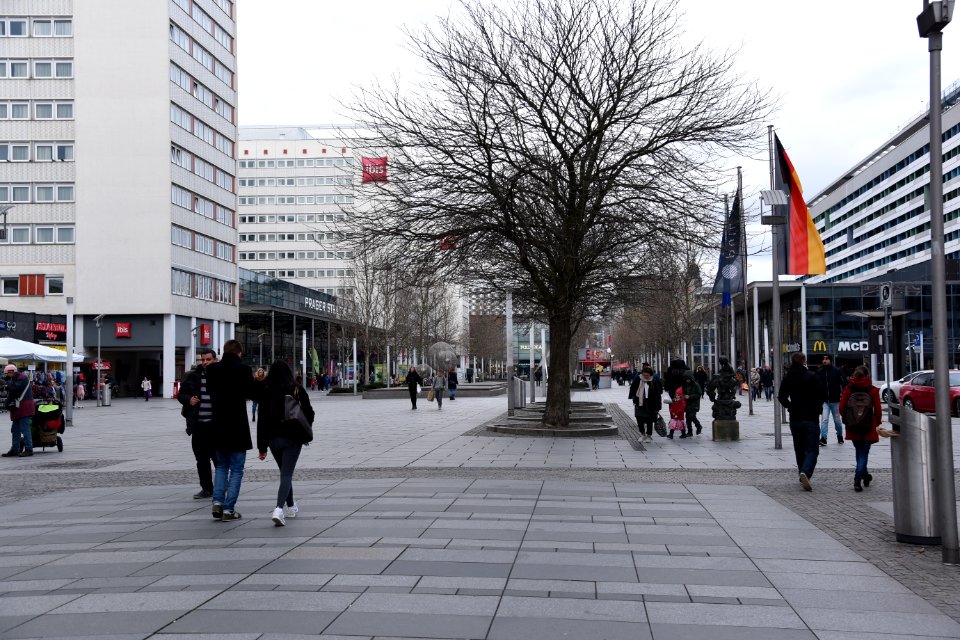 DSC 2345 dresden february 2018