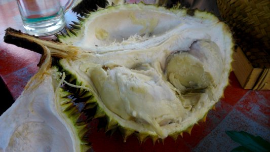 Durian fruit opened PJ DSC 0802 photo