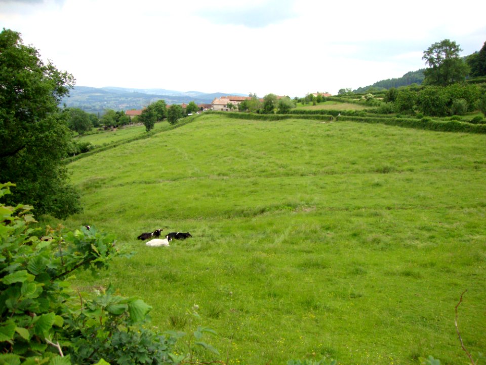 DSC02198 Brandon (Saône-et-Loire, Fr) paysage avec vue sur Les Cours