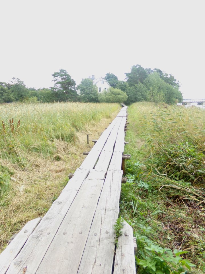 Duckboard path to Läntinen Pukinsaari