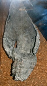 Dug-out canoe in the National Museum of Slovenia