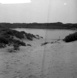 Duinlandschap omgeving Kennemerduinen, Bestanddeelnr 916-6972