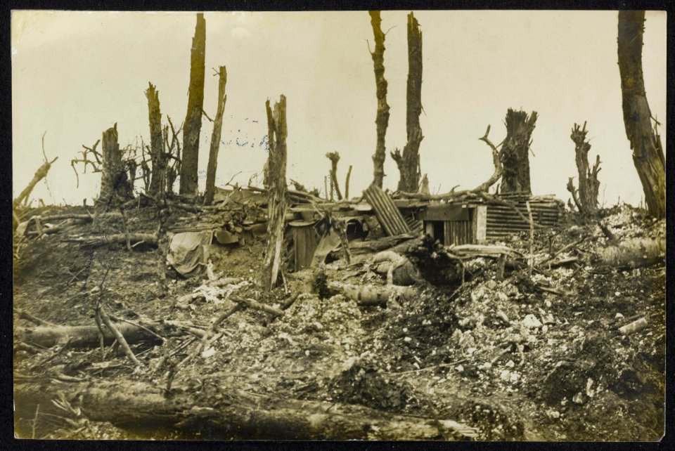 Dugout in .. wooded, Bestanddeelnr 158-1329