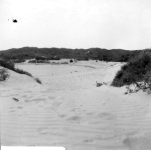 Duinlandschap omgeving Kennemerduinen, Bestanddeelnr 916-6968