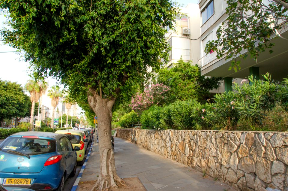 DSC-0053-arlozorov-st-tel-aviv-may-2016