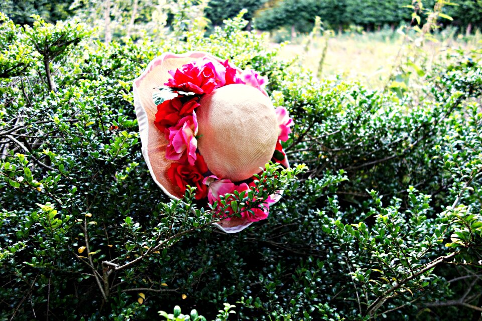 Women's hat floral hat fashion photo