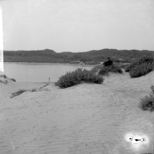 Duinlandschap omgeving Kennemerduinen, Bestanddeelnr 916-6967