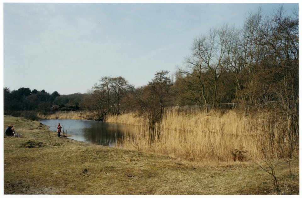 Duinlandschap met meertje waar men in 1997 het plan opvatte om villa's te bouwen. NL-HlmNHA 54036428