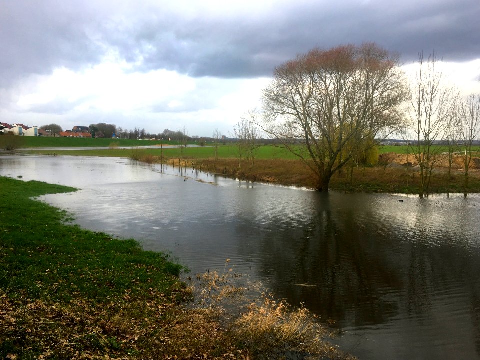Dutch riverscape, Huissen