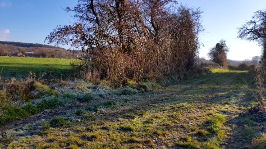 Durbuy-Menhir de Morville (1)